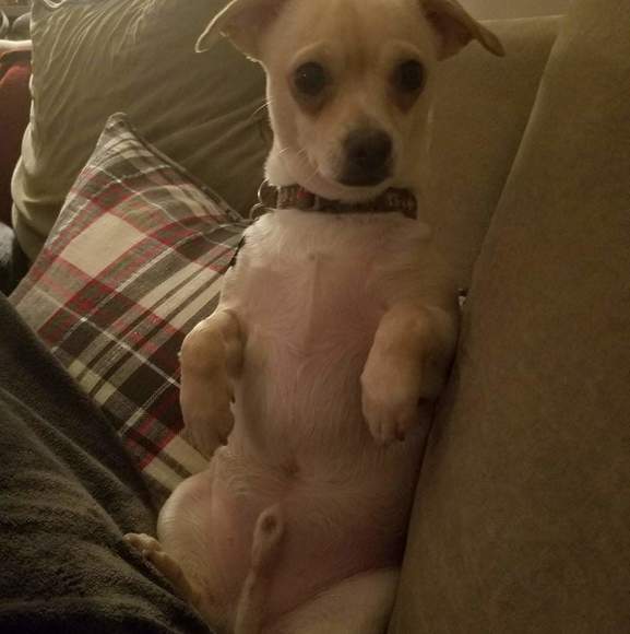 Meet your Posher, Mike - Picture 1 of 1